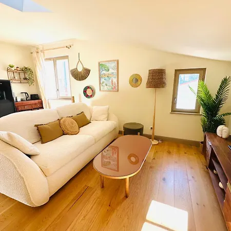 Magnifique 2 Pieces 45m2 Au Coeur Du Vieil